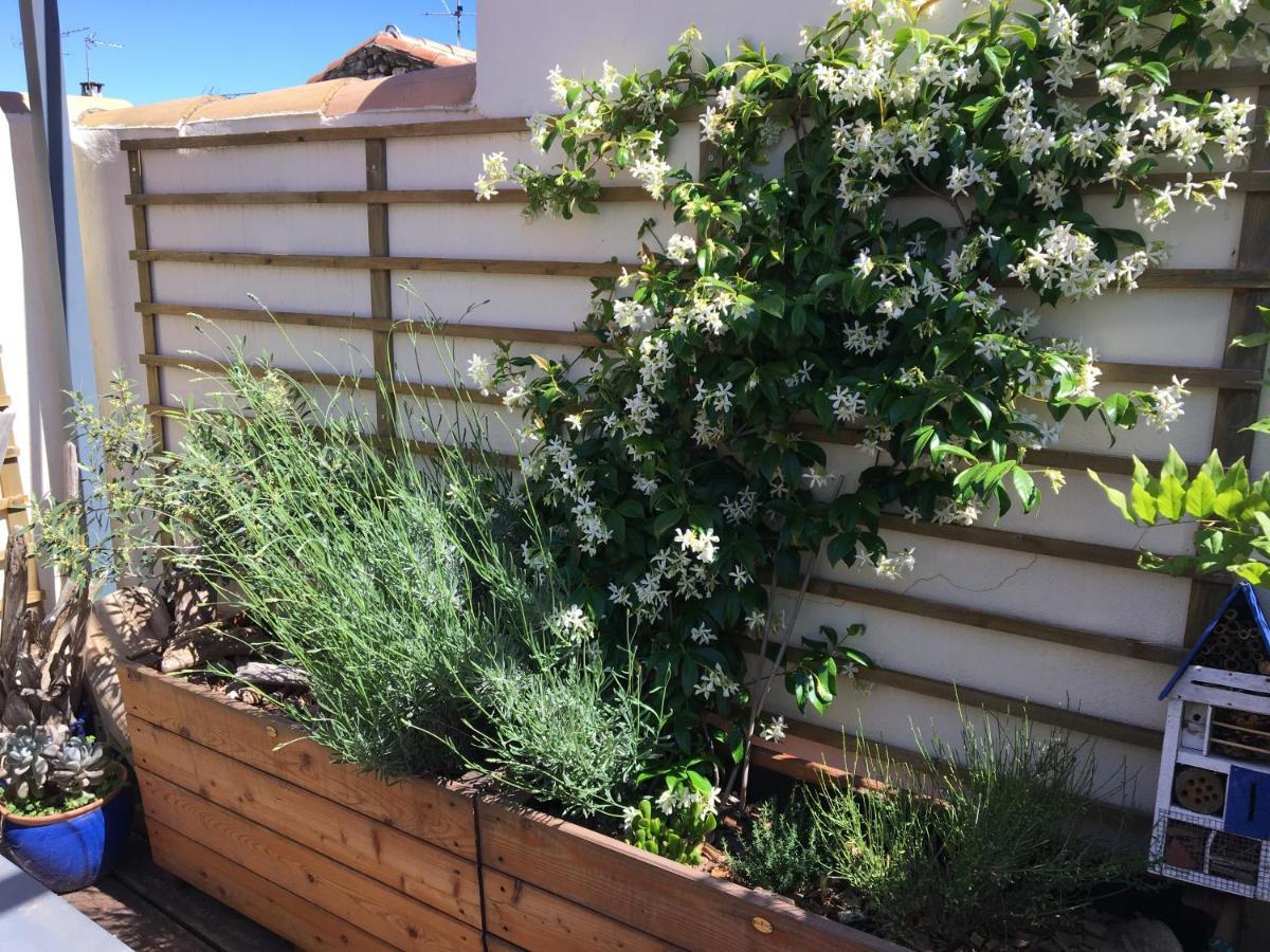 Maison Avec Terrasse A Arles, Provence ภายนอก รูปภาพ